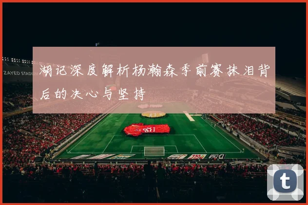湖记深度解析杨瀚森季前赛抹泪背后的决心与坚持