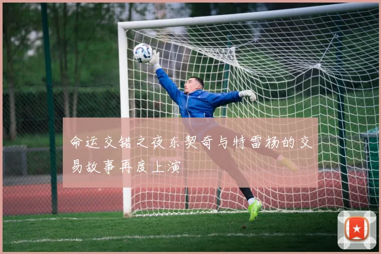 命运交错之夜东契奇与特雷杨的交易故事再度上演